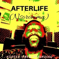 AfterLife - Single - Duse