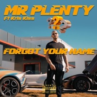 Forgot Your Name (feat. Kris Kiss) - Single - Mr Plenty
