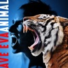 Animal - Single