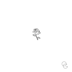 Paper Rose - Single