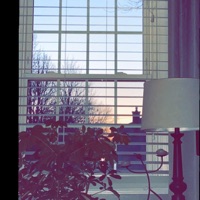 i dont miss u, i think im just drunk - Single - Noah2000