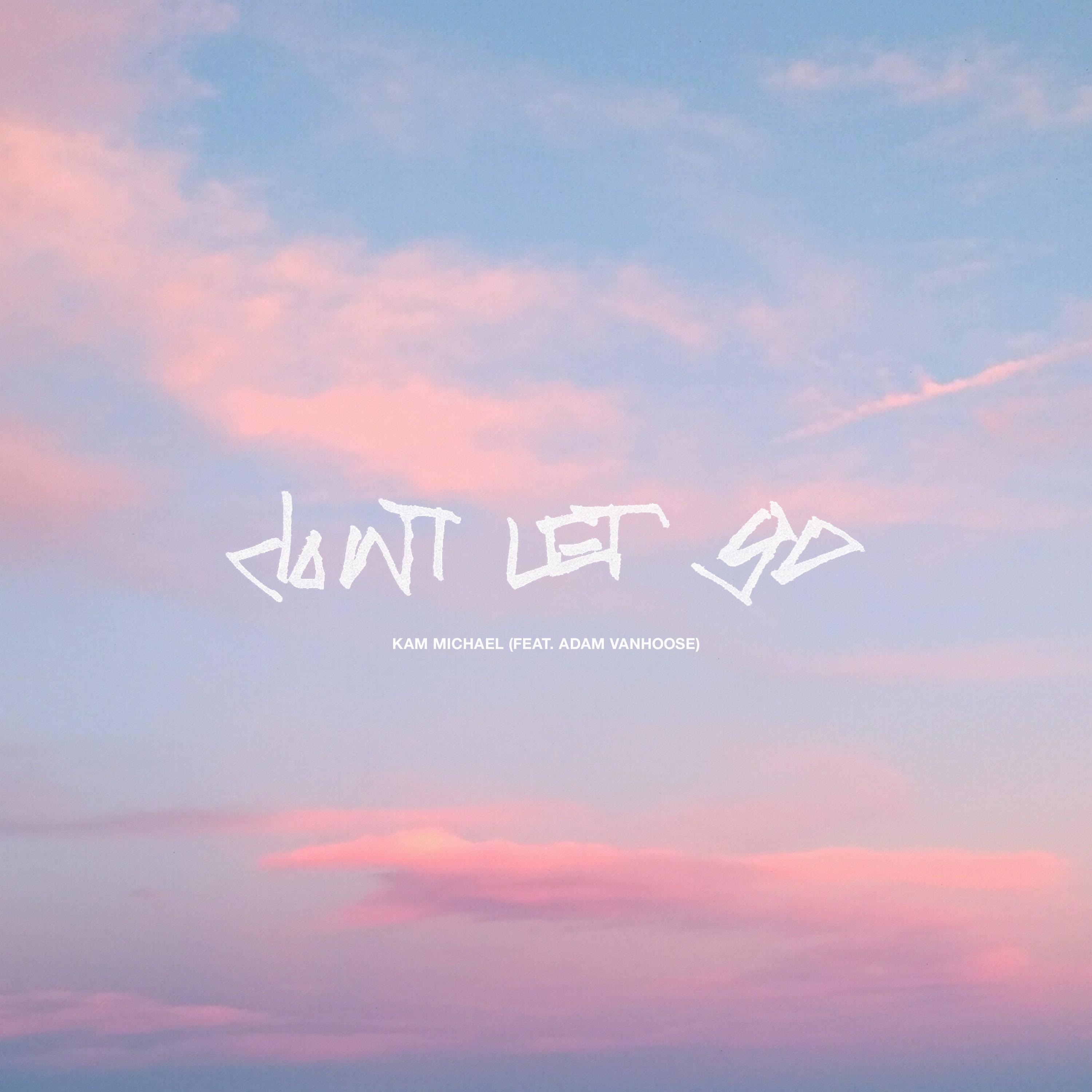 Don't Let Go (feat. Adam VanHoose) - Single