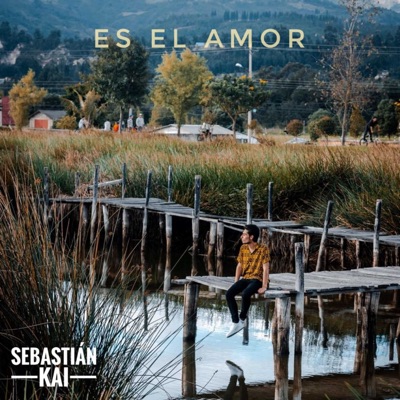 Es el Amor - Single