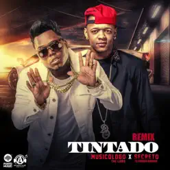 Tintado (Remix) [feat. Secreto El Famoso Biberon] - Single - Musicologo The Libro