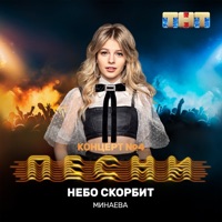 Небо скорбит - Single - Минаева