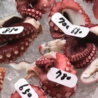 Kairi (feat. Abiiogenesis) - Single - Wachuwan