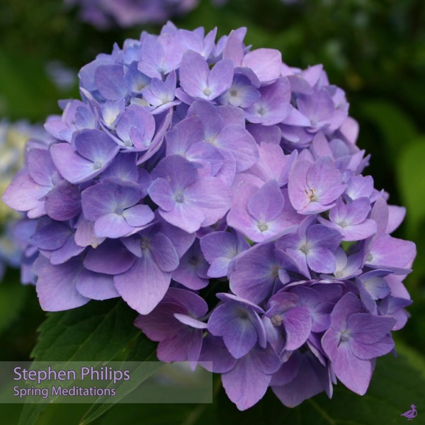 Spring Meditations
