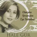 KOYCEGIZ YOLLARI