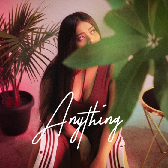 Cover artwork for Anything