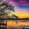 Spiteful - Freewill lyrics
