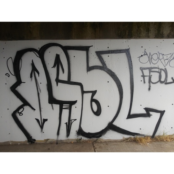 Scatter Bugs (Debris X Darc Feather X Asol)