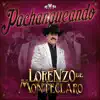 Los barandales del puente
