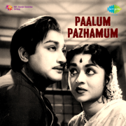 Ponaal Pogattum - T. M. Soundararajan