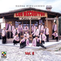 Vol. 6, Adiós Amor - Banda Los Recoditos