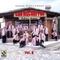 Mi Gran Problema — Banda Los Recoditos