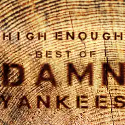 High Enough - Best Of - Damn Yankees