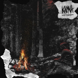 Карма WELL NELIANT