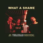 Telltale - What a Shame