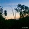 Sciamachy - Jay lyrics