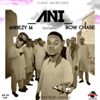 Ani (feat. Bow Chase) - Single - Mwiezy M