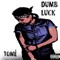 Dumb Luck - Tomé lyrics
