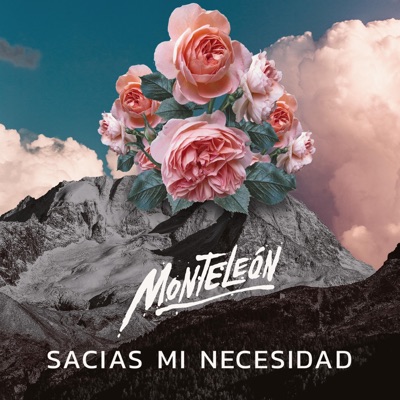 Sacias Mi Necesidad - Single