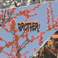 Brother - Single - Rinse Cycle