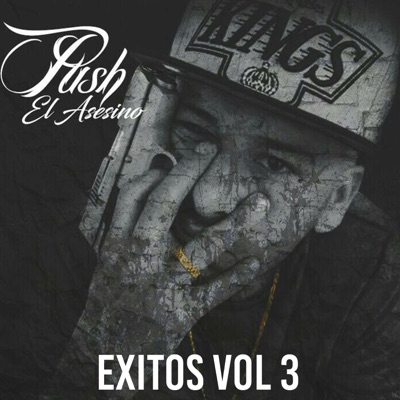 Éxitos, Vol. 3
