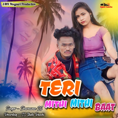 Teri Mithi Mithi Baat - Single