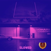Touchdown (Slowed) [feat. NGHarii] - DJ Flyminds