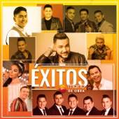 Me Gustas Mucho (Remix) artwork