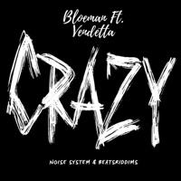 Crazy (feat. Vendetta, Noise System & Beatsriddims) - Single - Bloeman