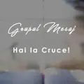 Hai la Cruce