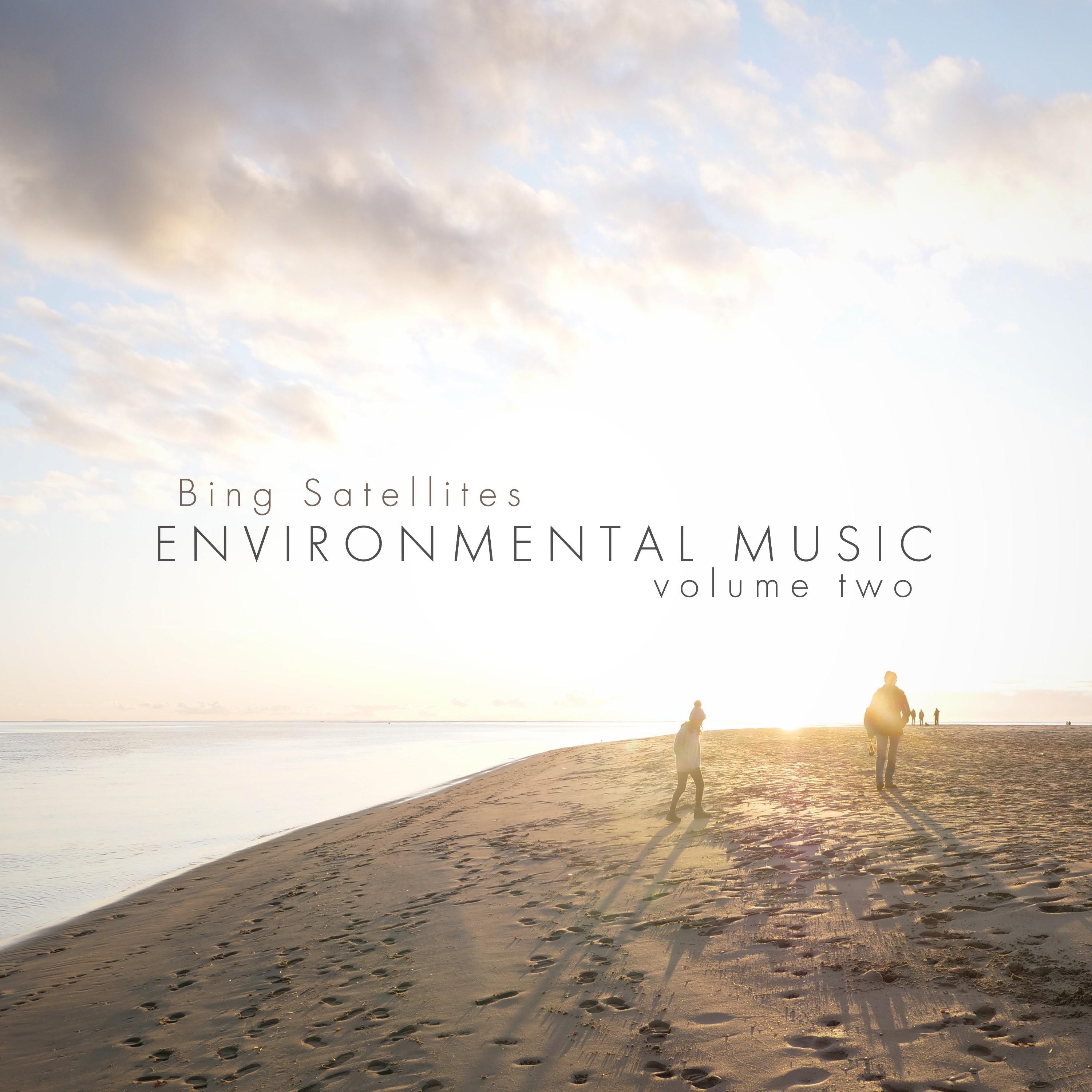 Environmental Music Volume Two