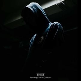 Thief (feat. Graham Cochrane) Ill Factor