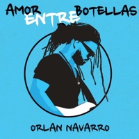 Amor Entre Botellas - Single - Orlan Navarro