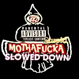 stupid MothaFuckA SLOWED DOWN (feat. Project Pat & Indo G) VOKILLZ & M.C. Mack