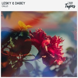 Callo LESKY, Dabey & Golden Ticket Tapes
