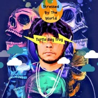Stressed by the World - Single - Turtle Boy Troy