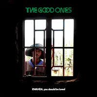 Where Did You Go Wrong, My Love (feat. Nels Cline) — The Good Ones