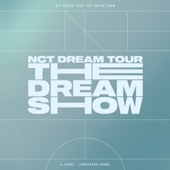 THE DREAM SHOW - The 1st Live Album artwork
