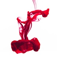 Infected Love - Single - Serena Elis