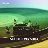 Soulful Vibes, Vol. 14 artwork