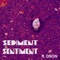 SEDIMENT SENTIMENT (feat. DSON) - Rebel G lyrics