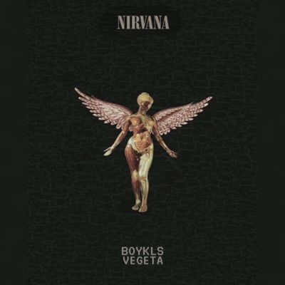 NIRVANA (feat. BOYKLS) - Single