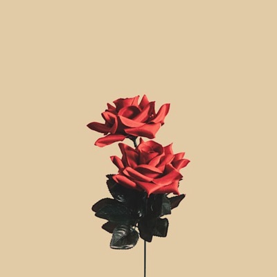 Lyk - Single