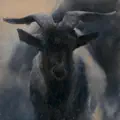 Cazabruxas