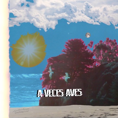 A veces Aves - Single