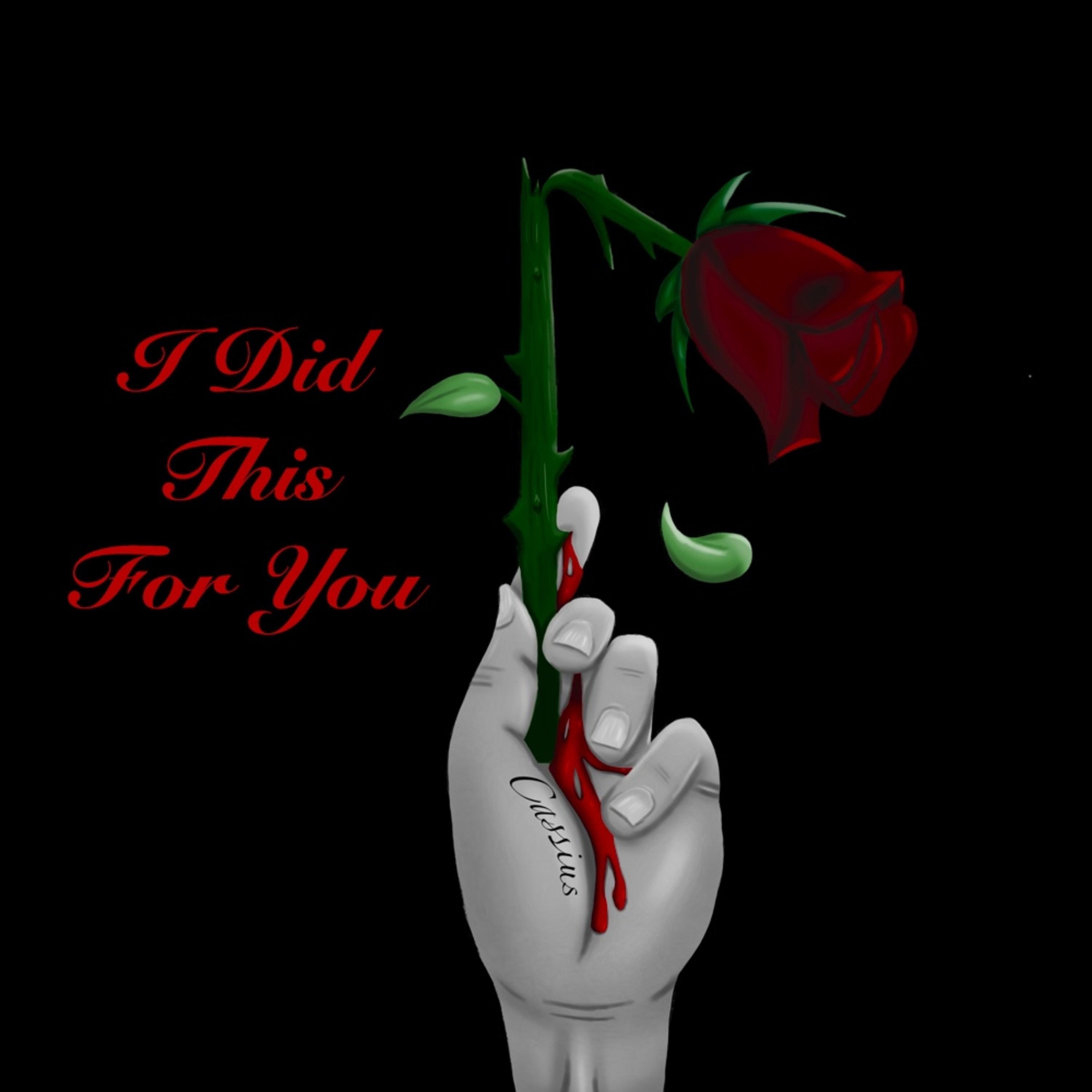 I Did This for You - Single