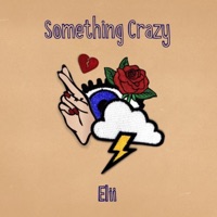 Something Crazy - Single - Elii
